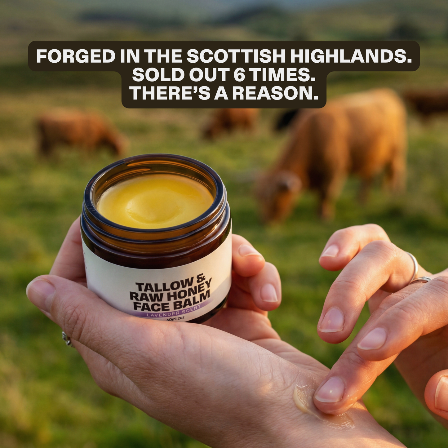 Tallow & Raw Honey Face Balm Bundle - 52% OFF