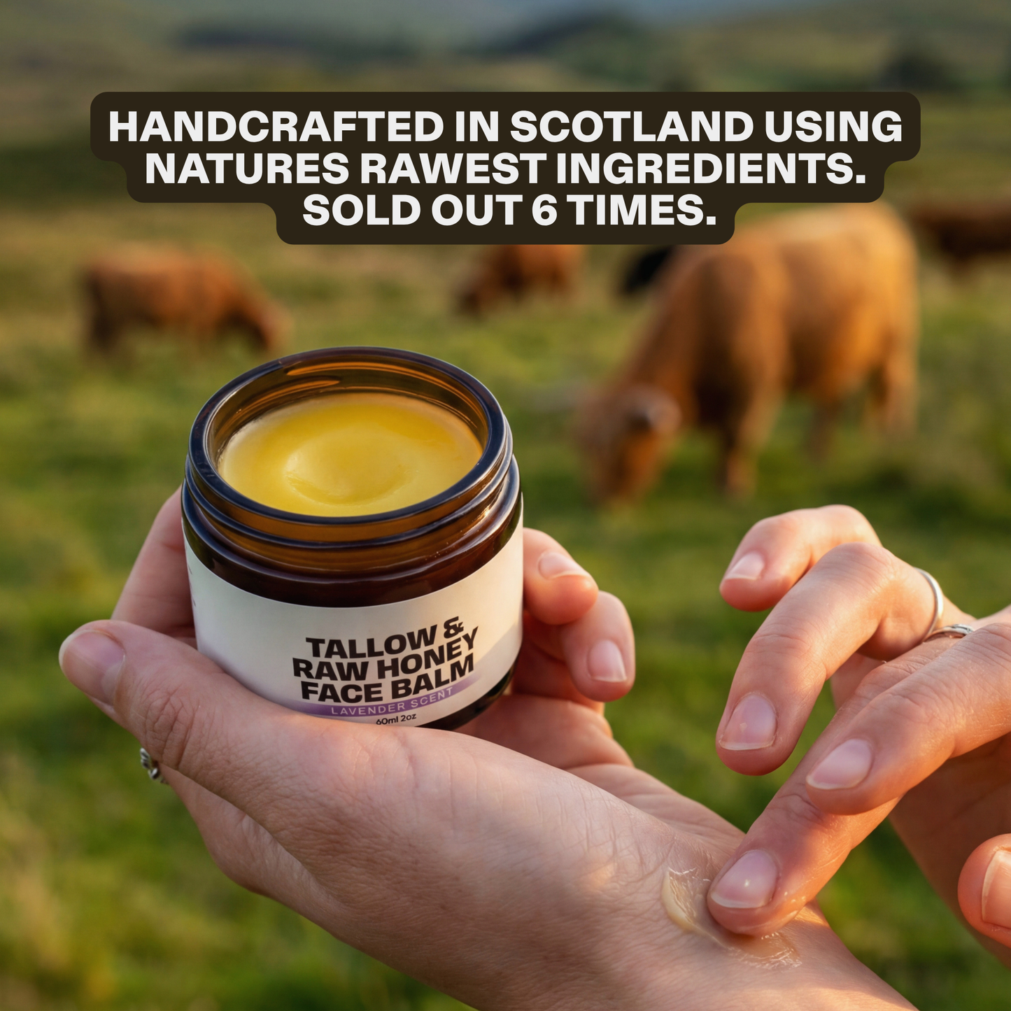 Tallow & Raw Honey Face Balm Bundle - 56% OFF